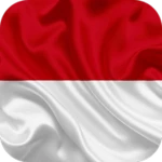 Logo of Magic Effect Indonesia android Application 